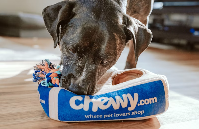 Pet care AI assistant